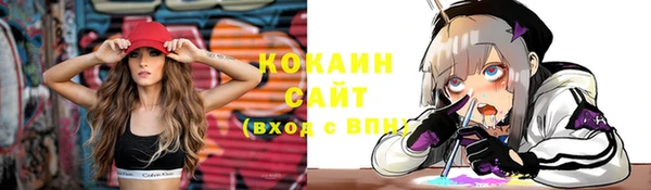 индика Абинск