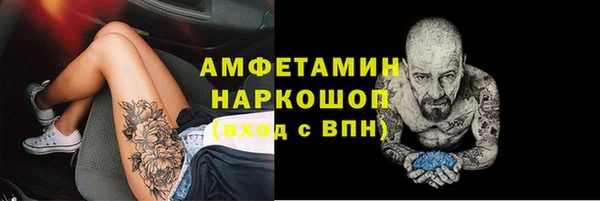 индика Абинск