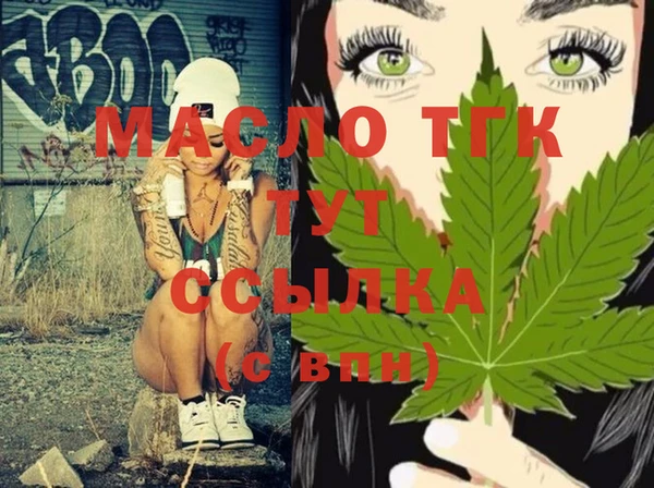индика Абинск