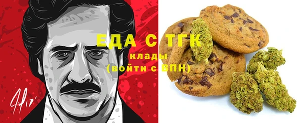 индика Абинск