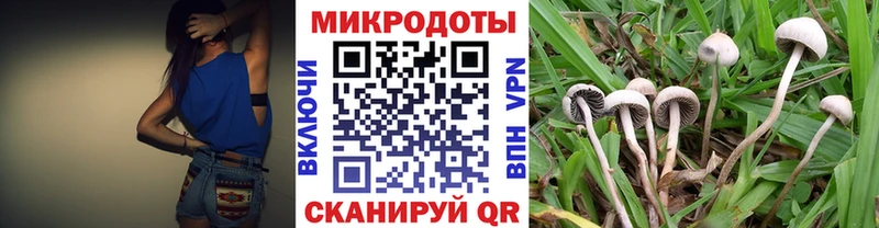 Галлюциногенные грибы ЛСД  Тырныауз 