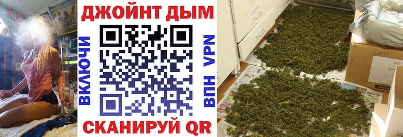 где купить наркоту  Тырныауз  Бошки марихуана марихуана 